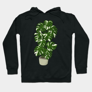 Monstera borsigiana variegated plant in a pot Hoodie